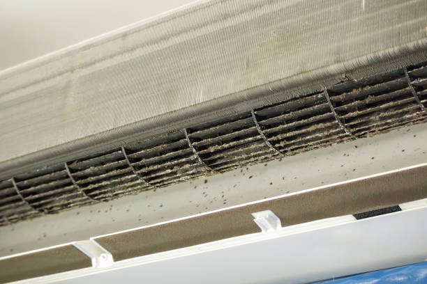 Best Air Duct Cleaning Near Me  in Prineville, OR